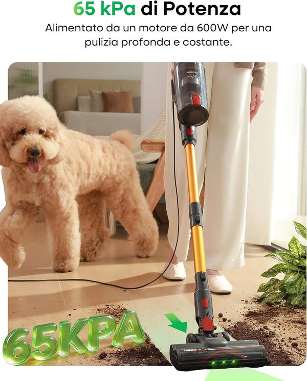 Scopri il nostro test completo dell'aspirapolvere Famivac FV2. Potente, leggero e ideale per tappeti e animali domestici. Leggi la recensione dettagliata.