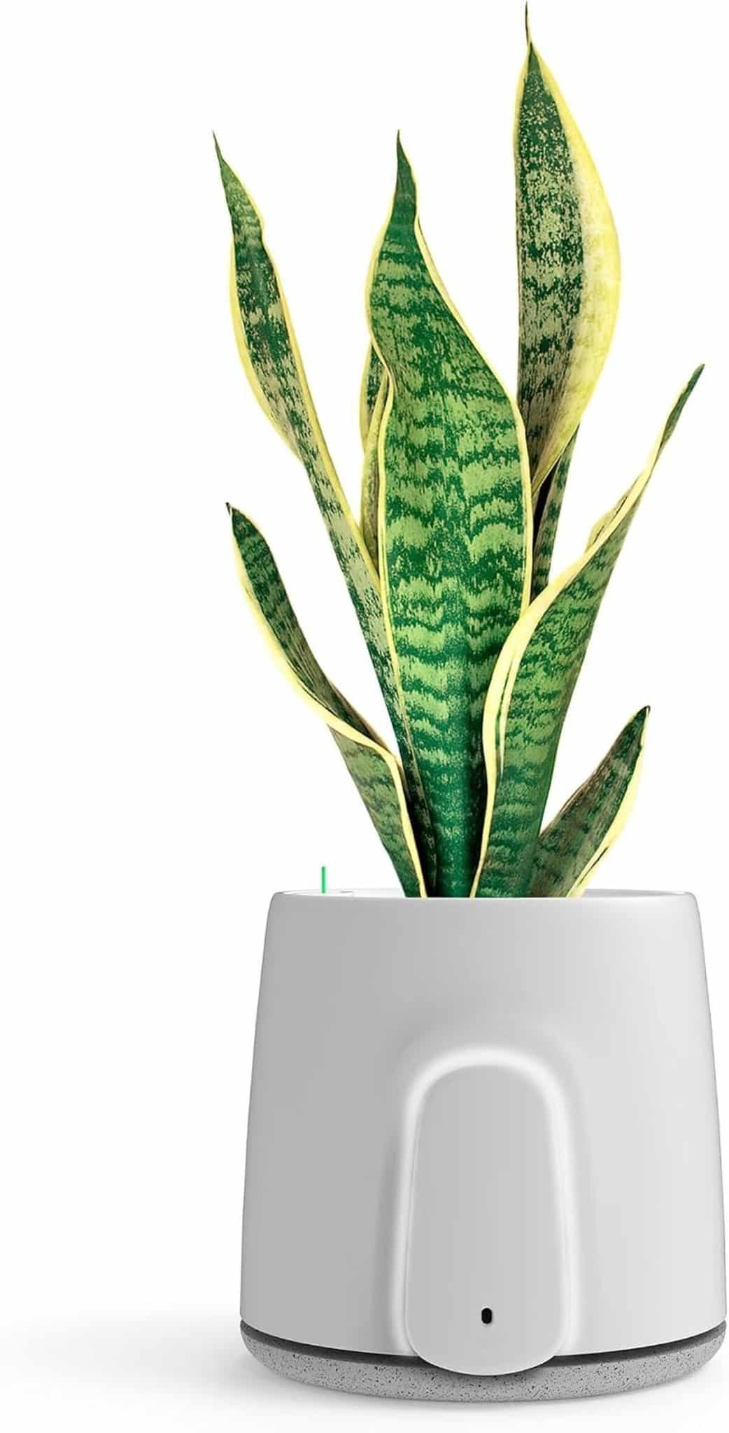 Test: vitesy Natede Smart, il purificatore d'aria senza filtri